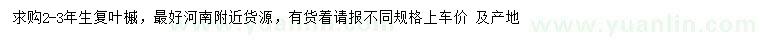 求購2-3年生復葉槭