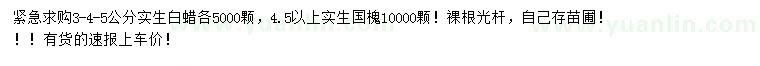 求購(gòu)3、4、5公分白蠟、4.5公分以上國(guó)槐