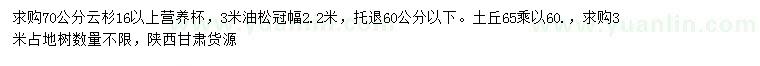 求購70公分云杉、3米油松