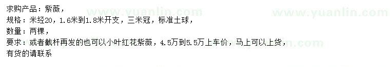 求購米徑20公分紫薇