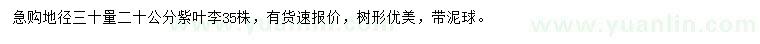 求購(gòu)30量20公分紫葉李