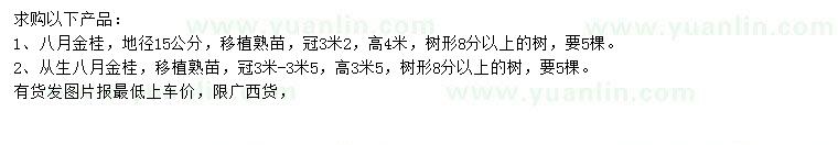 求購(gòu)地徑15公分八月金桂、從生八月金桂