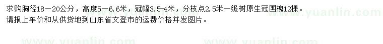 求購胸徑18-20公分國槐