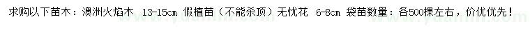 求購(gòu)13-15公分澳洲火焰木、6-8公分無(wú)憂花