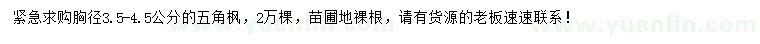 求購(gòu)胸徑3.5-4.5公分五角楓