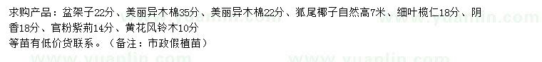 求購(gòu)盆架子、美麗異木棉、狐尾椰等