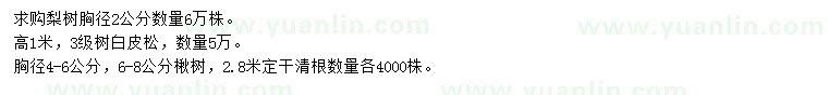 求購(gòu)梨樹、白皮松、楸樹