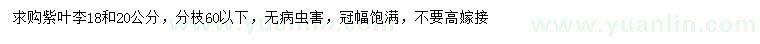 求購18、20公分紫葉李