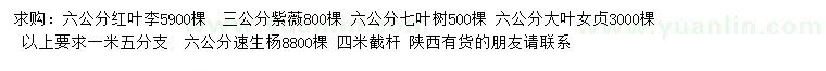求購紅葉李、紫薇、七葉樹等