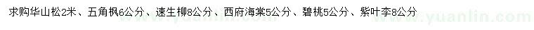 求購華山松、五角楓、速生柳等