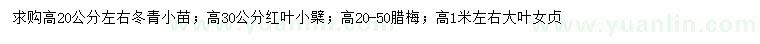 求購(gòu)冬青小苗、紅葉小檗、臘梅等