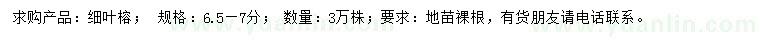求購6.5-7公分細葉榕