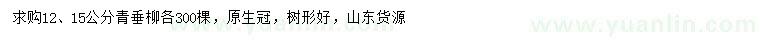 求購12-15公分青垂柳