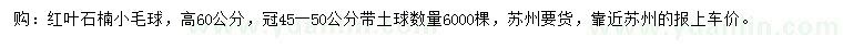 求購(gòu)高60公分紅葉石楠小毛球