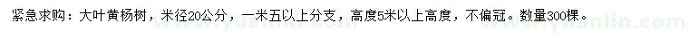 求購米徑20公分大葉黃楊