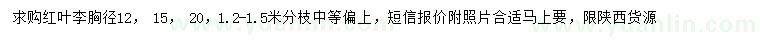 求購(gòu)胸徑12、15、20公分紅葉李