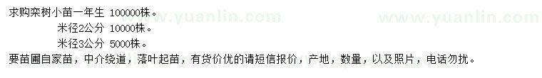 求購(gòu)米徑2、3公分欒樹(shù)、一年生欒樹(shù)