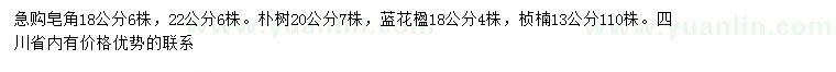求購皂角、樸樹、藍(lán)花楹等
