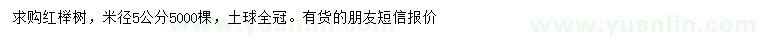 求購米徑5公分紅櫸樹