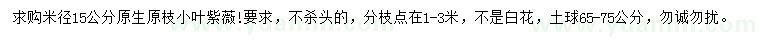 求購米徑15公分原生小葉紫薇