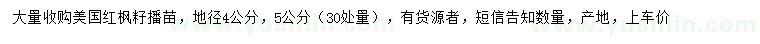 求購30處量4公分美國紅楓