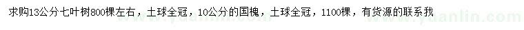 求購(gòu)13公分七葉樹、10公分國(guó)槐
