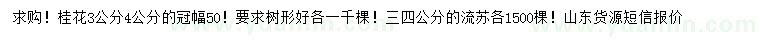 求購(gòu)3、4公分桂花、流蘇