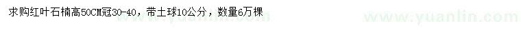 求購(gòu)高50公分紅葉石楠