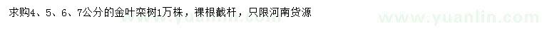 求購(gòu)4、5、6、7公分金葉欒樹