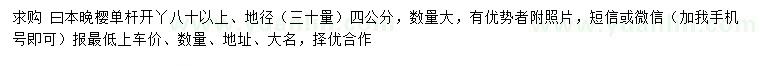 求購30量4公分日本晚櫻
