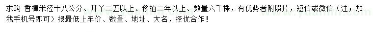求購米徑18公分移植香樟
