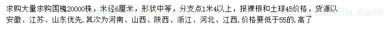 求購米徑6公分國槐