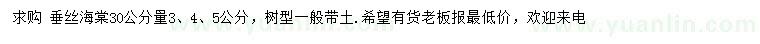 求購30公分量3、4、5公分垂絲海棠