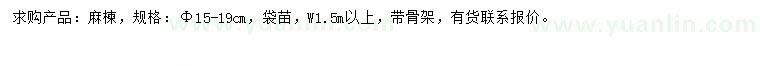求購15-19公分麻楝