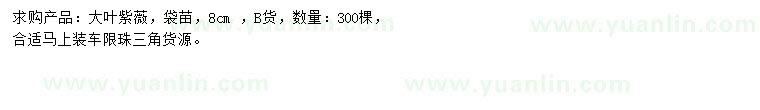 求購8公分大葉紫薇