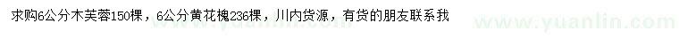 求購(gòu)6公分木芙蓉、黃花槐