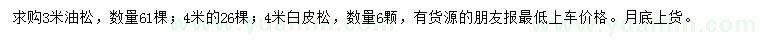 求購3、4米油松、4米白皮松