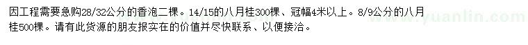 求購28、32公分香泡、8、9、14、15公分八月桂