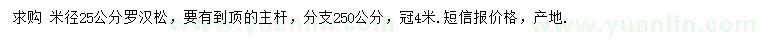求購米徑25公分羅漢松