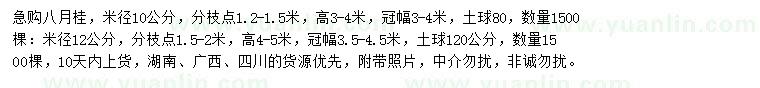 求購米徑10、12公分八月桂