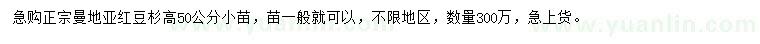求購高50公分曼地亞紅豆杉