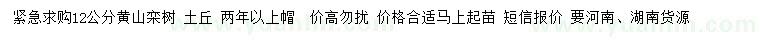 求購12公分黃山欒樹