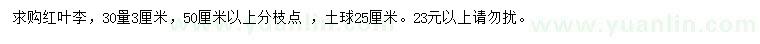 求購30量3公分紅葉李