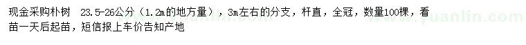 求購23.5-26公分樸樹