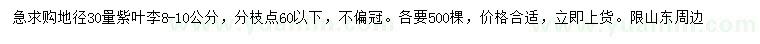 求購30量8-10公分紫葉李
