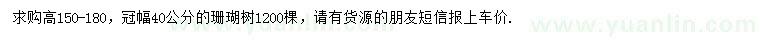 求購高150-180公分珊瑚樹
