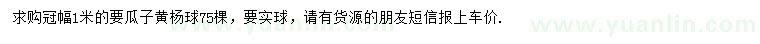 求購冠幅1米瓜子黃楊球
