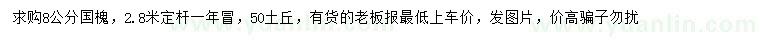 求購8公分國槐