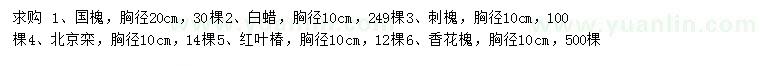 求購國槐、白蠟、刺槐等