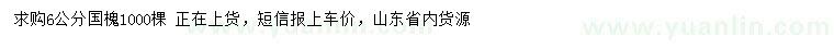求購(gòu)6公分國(guó)槐